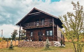 The Wooden Nest -Covasna